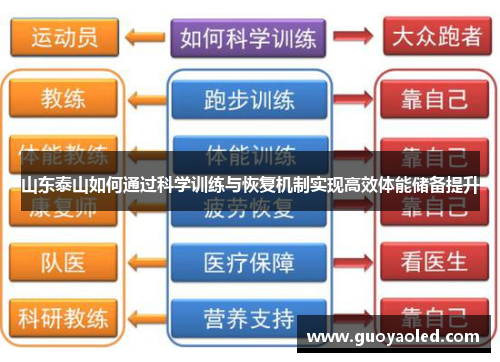 山东泰山如何通过科学训练与恢复机制实现高效体能储备提升